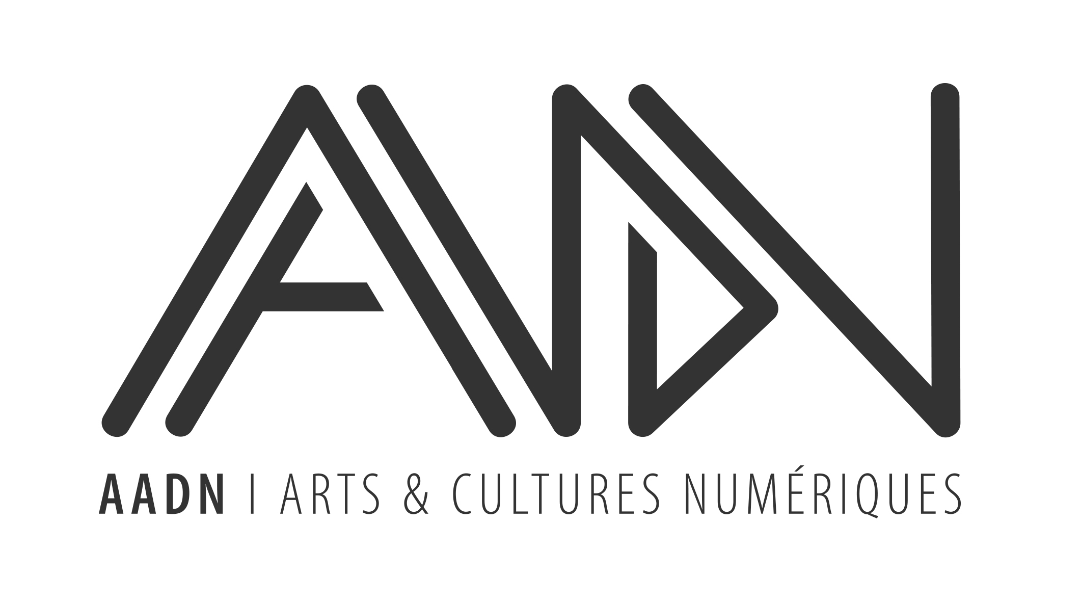 AADN – Arts et Cultures Numériques